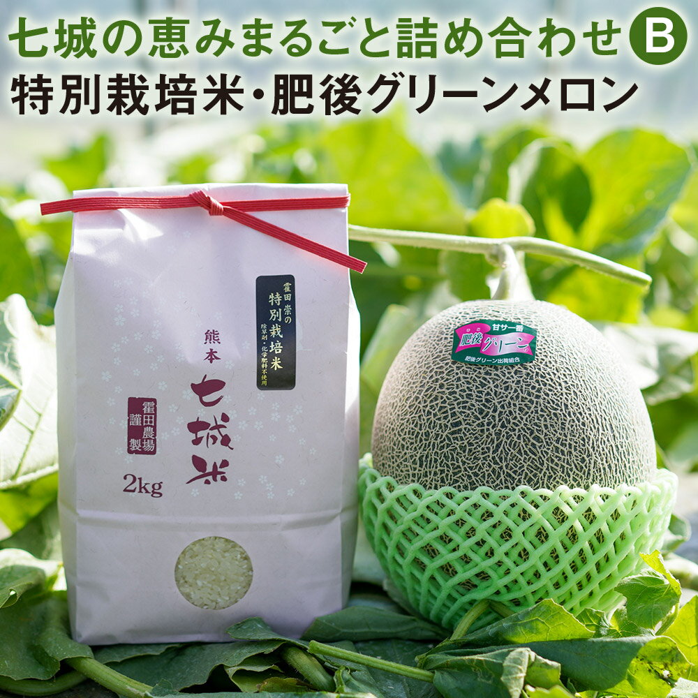 【ふるさと納税】七城の恵みまるごと詰め合わせB 特別栽培米2kg 肥後グリーンメロン1玉 セット お米 精米 白米 ヒノヒカリ メロン 果物 フルーツ 熊本県産 九州産 送料無料【2026年5月上旬〜5月下旬に順次発送予定】