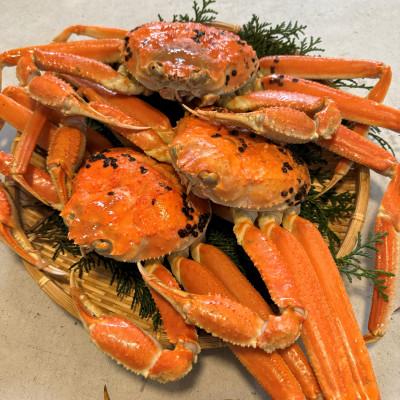 ふるさと納税 岩美町 鳥取網代港【訳あり】浜茹で!松葉ガニ2kgセット【さかなや新鮮組】 |  | 01