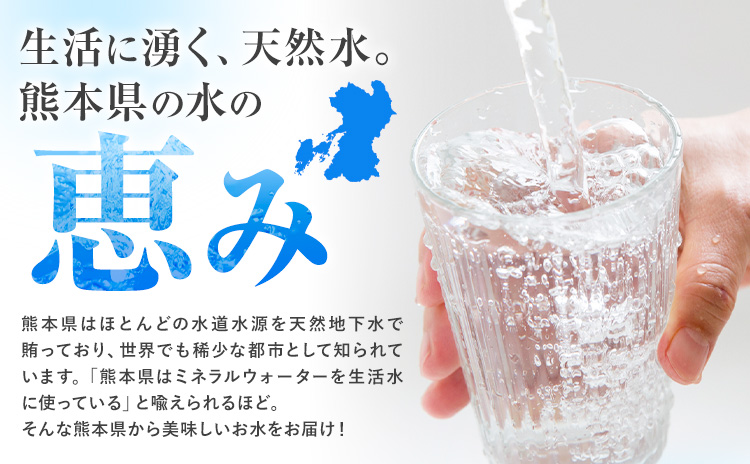 【6ヶ月定期便】 水 シリカ水 500ml × 24本 × 年6回 有限会社七城町特産品センター メロンドーム 《お申し込みの翌月から出荷》 熊本県 菊池市 水 軟水 飲料 ドリンク 清涼飲料水 天然