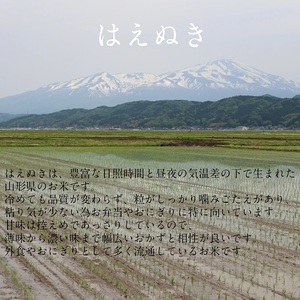 SC0650　令和7年産【白米】はえぬき　10kg(5kg×2袋) YA