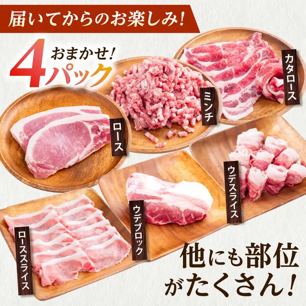 豚肉 うつみ潮風豚 精肉おまかせ4パックセット（1P/180g-280g）[BABT002] 豚肉