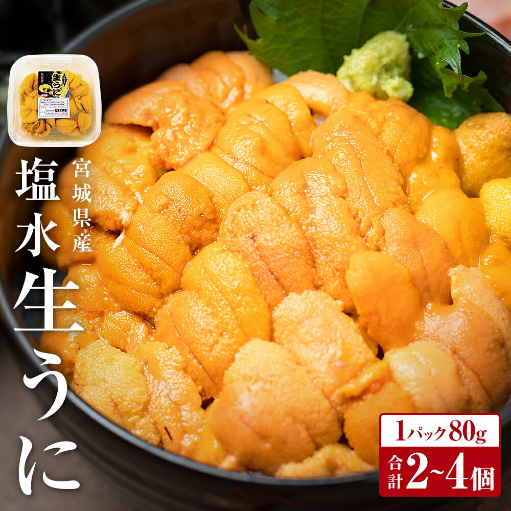 【ふるさと納税】〈先行予約〉＊6月20日以降順次発送開始予定 生うに 宮城県産 塩水 生うに 80g ×2~4個 冷蔵 塩水うに 新鮮 ミョウバン不使用 無添加 刺身 雲丹 小分け むき身 宮城県 石巻市 ウニ 生ウニ ムラサキウニ 厳選 三陸 順次発送 旬 期間限定 今だけ