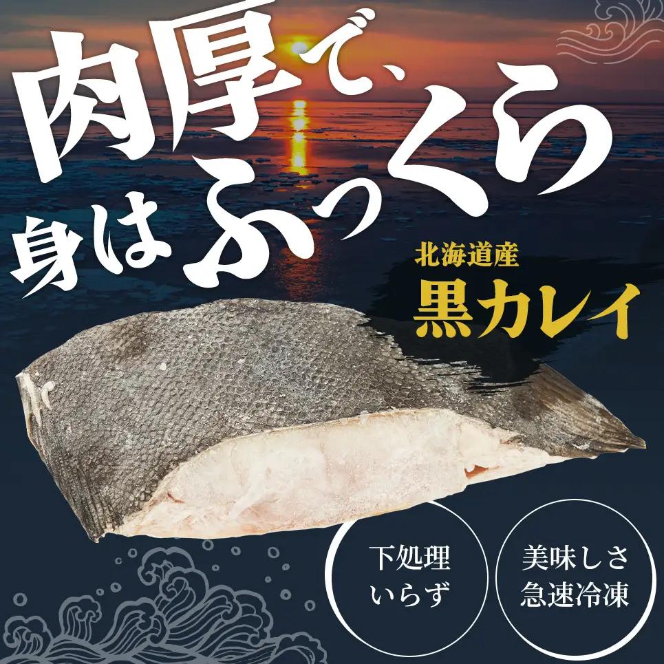 北海道産 訳あり黒かれい 切身 1kg 鰈 カレイ 煮つけ 魚 魚類 海魚 海鮮 北海道 厚岸町
