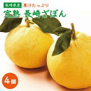 【ふるさと納税】【先行予約】長崎県産 完熟ざぼん 4個【長崎ぶんたんの会】[OAF003] / ザボン 朱欒 フルーツ みかん 柑橘類 くだもの 果物 甘い 数量限定 お取り寄せ 産地直送 柑橘 晩白柚 ばんぺいゆ ふるーつ さっぱり デザート 家庭用 グルメ 爽やか 美味しい 九州産