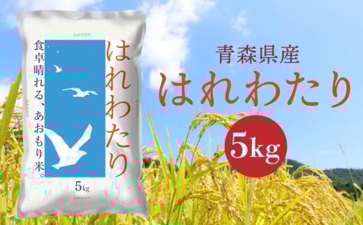 青森県産 はれわたり 5kg 5kg×1袋 令和6年産 米 精米 白米 お米 青森県産