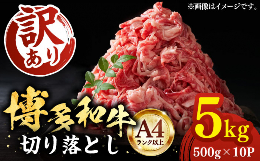 【A4以上】博多和牛 切り落とし 5kg （500g×10P）《豊前市》【MEAT PLUS】[VBB026] 肉 niku 牛肉 国産 牛肉 牛 スライス 牛肉切り落とし 牛切り落とし ブランド牛