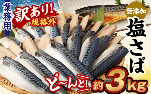 【訳あり規格外】  業務用 無添加 塩さば  どーんと!3kg 鯖 さば 塩サバ 干物 魚