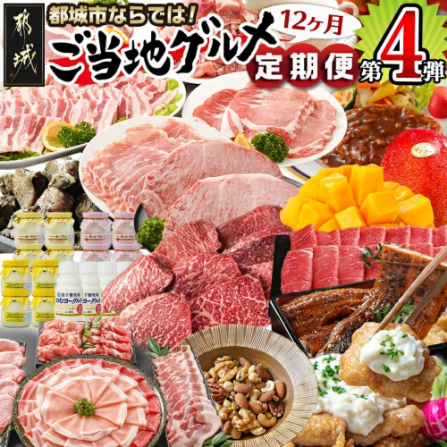 【セレクト定期便】第4弾☆都城市ご当地グルメ定期便(12ヶ月)≪2026年お届け≫_T179-MY01