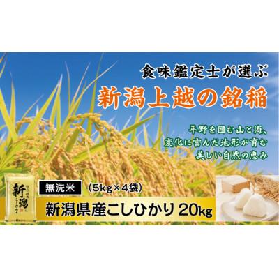 ふるさと納税 上越市 (無洗米)【新米　令和8年産】【食味鑑定士厳選】新潟県上越市産こしひかり　5kg×4袋