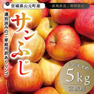 宮城県産  ご家庭用 サンふじ5kg(11～20玉入り)生産者選別済みのリンゴ_果物・フルーツ りんご  リンゴ 林檎_【1461381】