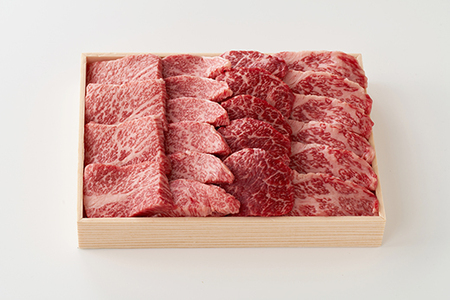 【ふるなびWEEK対象】近江牛 焼肉 霜降り × 赤身 ミックス 500g 冷蔵 寛閑観 FN-Limited 【FR23U-FN】 焼肉