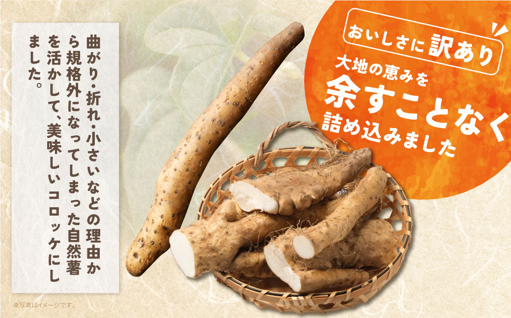 【スピード発送・訳あり】 自然薯×コロッケ ジョロッケ 6個セット
