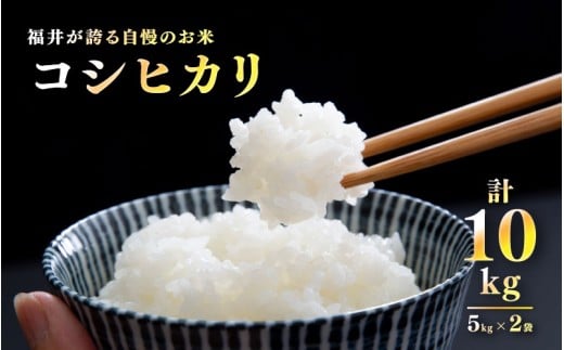 【数量限定！30袋限定販売！！】令和7年産　コシヒカリ　通常便（1回配送）計10kg（5kg×2袋）[C-10113] / お米 新米 精米 ご飯 こしひかり ごはん 米農家 農業男子 鮮度抜群 福井県鯖江市