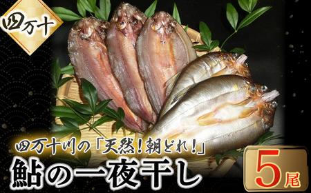 頭からガブッと！四万十川の天然小鮎 一夜干し（5枚セット） Esg-A25 あゆ アユ 鮎 魚 魚介 川魚 塩焼き 干物 ひもの 海鮮