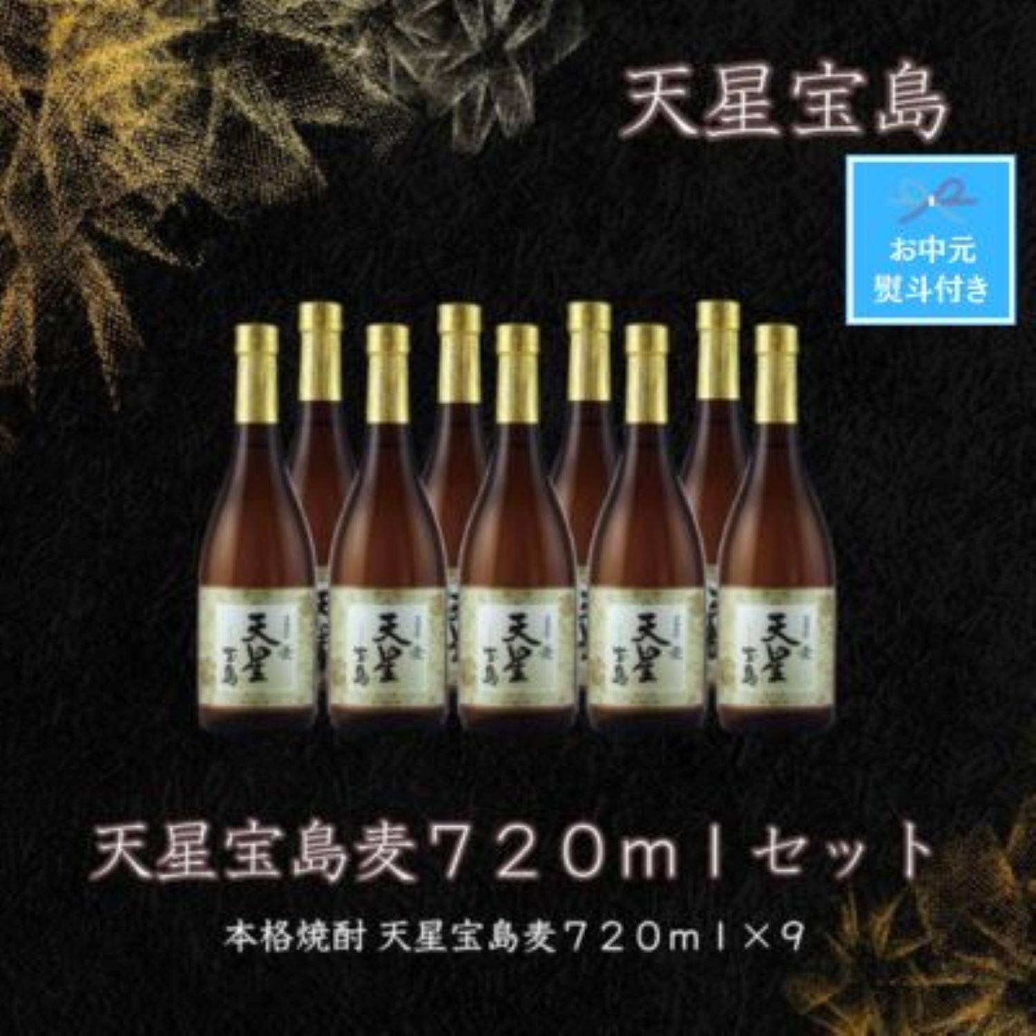 
【お中元】天星宝島麦７２０ｍｌ×９本セット
