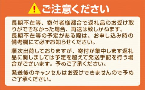 博多和牛 ステーキ 200g×3