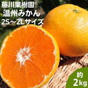 【ふるさと納税】フジカワ温州みかん 約2kg　【 果物 柑橘 フルーツ おやつ 間食 デザート 食後 極早生 早生 甘い 食べきりサイズ 冬 秋 】　お届け：2024年9月下旬～2024年12月上旬