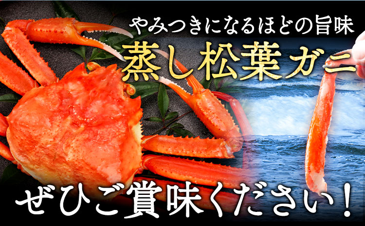 蒸し 訳あり 松葉ガニ カニ 800g 1杯 さんチョク《11月中旬から4月上旬頃出荷》鳥取県 八頭町 送料無料 蟹 かに 鍋 ズワイガニ ズワイ蟹 ボイル 冷蔵