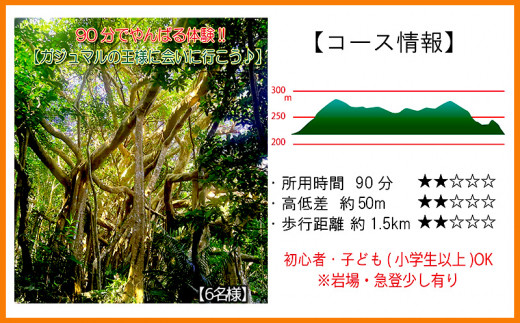 
沖縄県北部やんばる・ガジュマルの王様に会いに行こう♪【6名様】
