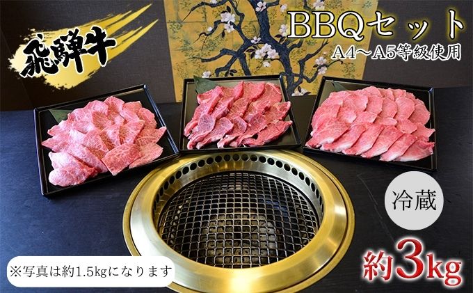 飛騨牛　BBQセット　約3kg　A4～A5等級使用 お肉 牛肉 国産 お家焼肉 バーベキュー カルビ 赤身 柔らかい モモ 霜降り 牛肉の女王様 ヒレ肉 旨味 真空パック 冷蔵 タレ付き 