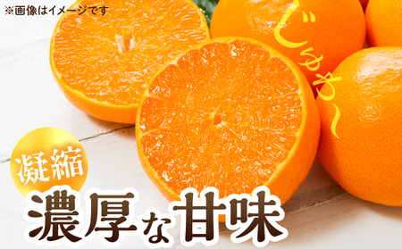 スペシャルみかん ひなたっ娘 計4.5kg 傷み補償分付き 期間限定 果物 くだもの フルーツ 蜜柑 ミカン 柑橘 オレンジ 小玉 おやつ デザート みかんジュース 飲み物 おすすめ おすそ分け 国産