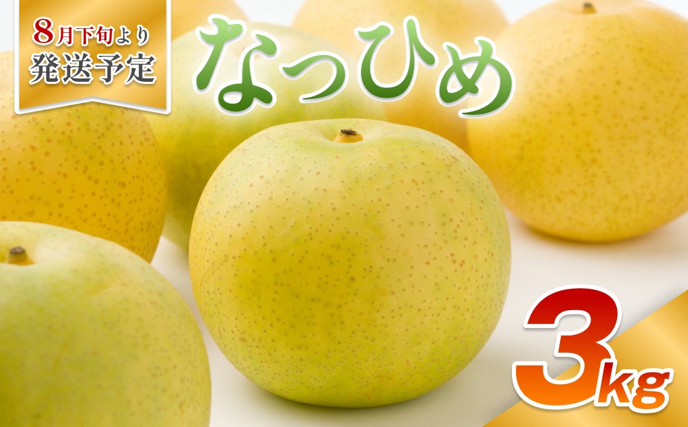 
                  【先行予約】安田農園 梨 ”なつひめ” 3kg箱｜鳥取 岩美 梨 なし ナシ 青梨 果物 フルーツ ※お届けは2026年8月下旬頃～【41028】
                