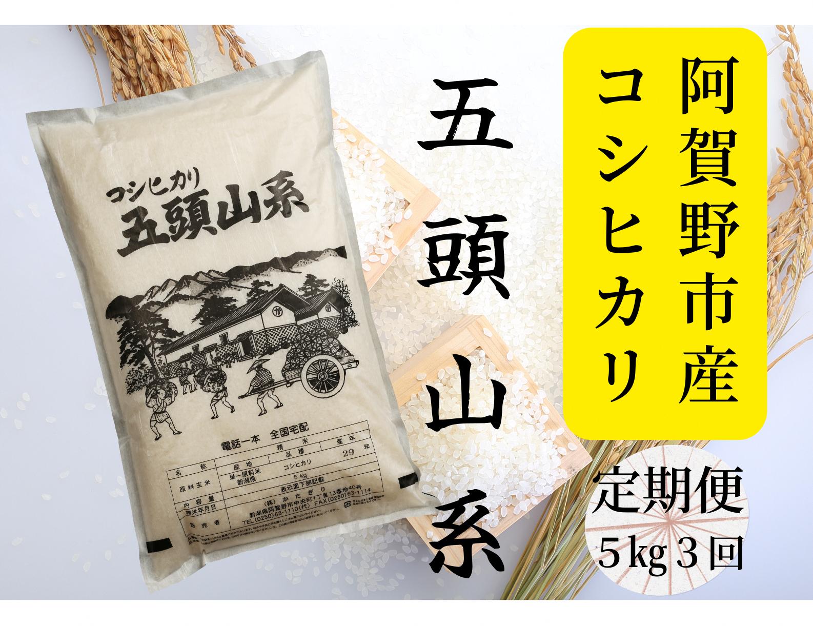 【令和8年産新米】【3回定期便】「五頭山系」米屋のこだわり阿賀野市産 コシヒカリ5kg×3回 新潟県 米 こめ コメ 白米 精米 新米 1E06035