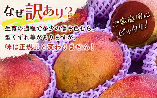 【先行予約】訳あり「ご家庭用」宮崎県西都市産完熟マンゴー2kg ＜2-95＞2026年発送