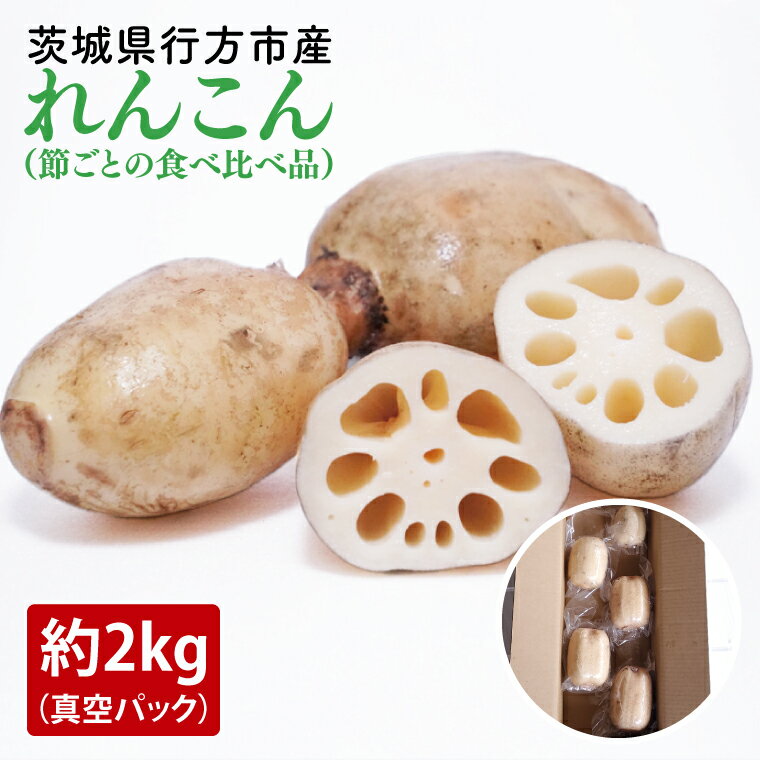【ふるさと納税】【真空パック】【洗い】【食べ比べ】「横瀬農園のれんこん」（節切り小分け食べ比べ品）約2kg（4～5袋）/ 農家直送 レンコン れんこん 茨城県産 野菜 根菜 行方市産 新鮮 栄養豊富 生産量 日本一(HB-4)