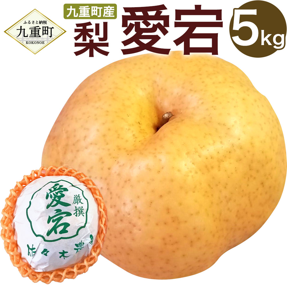 【ふるさと納税】九重町産梨 愛宕 約5kg 梨 なし 果物 くだもの フルーツ 九重町産 大分県産 九州産 国産 送料無料【2026年12月発送予定】