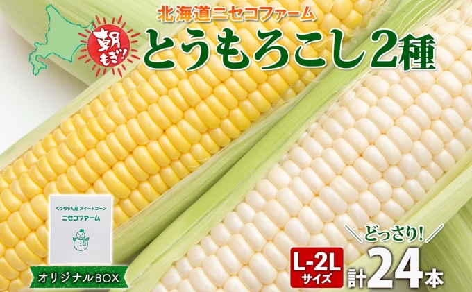 【 2026年 発送 】 北海道産 とうもろこし 2種 計24本 L-2L サイ