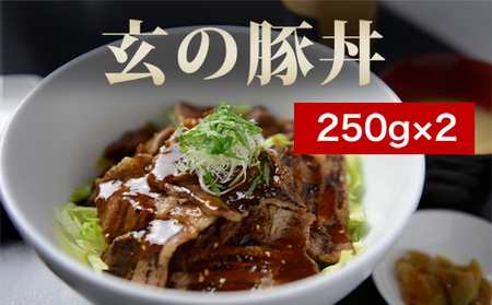 道の駅 萩往還 人気レストラン 「玄」オリジナルセット 金 4人前｜HG000600