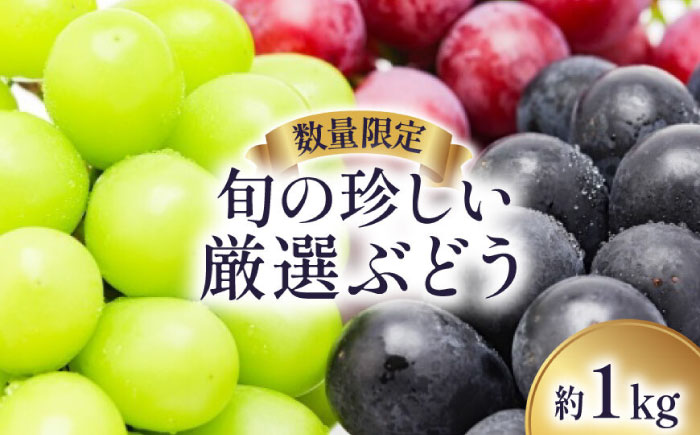 【2027年8月～発送】【数量限定】 旬の珍しい厳選 ぶどう 約 1kg / 旬 フルーツ ぶどう ブドウ 葡萄 くだもの 果物 マスカット 産地直送 / 南島原市 / 長崎県農産品流通合同会社 [S