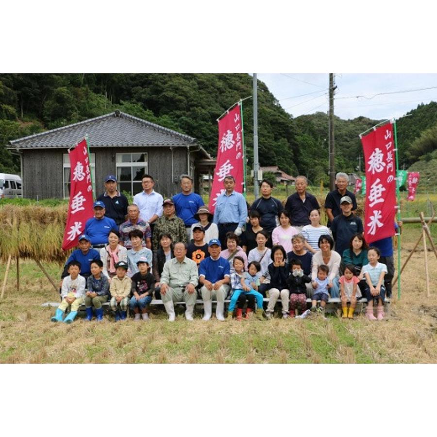 ＜瑞穂糧穀＞～“天然記念物”源氏ホタルの里～特別栽培米「穂垂米こしひかり」5kg【3ヵ月定期便】