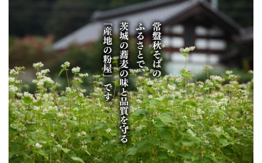 石臼びき常陸秋そば 1.2kg 麺つあゆ付き【茨城県共通返礼品／常陸太田市】（伊ー30）【蕎麦 そば ソバ 麺 麺類 石臼挽 ふるさと納税 水戸市 茨城県】（FY-1）