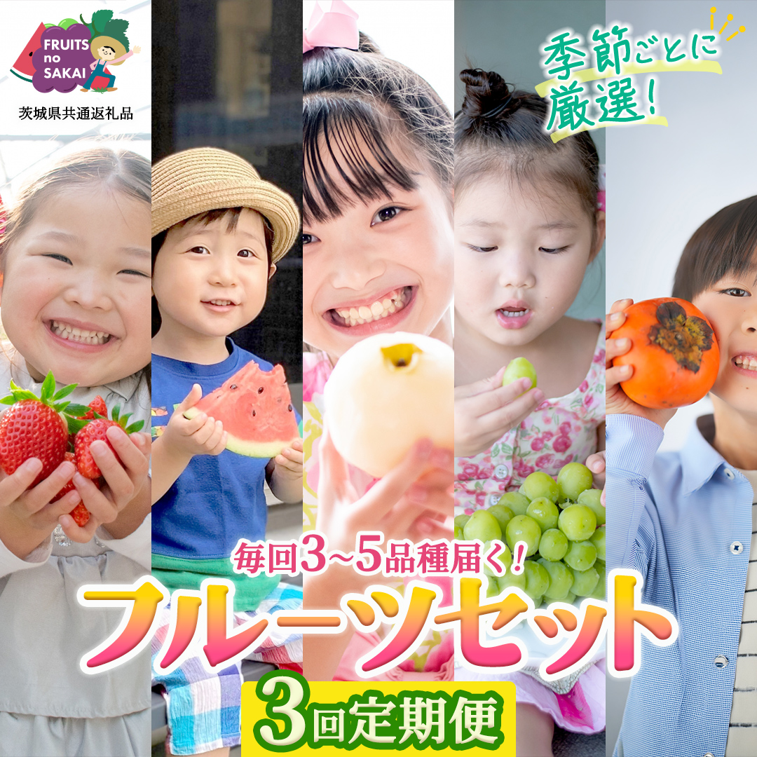 【定期便】フルーツセット（3回定期）（茨城県共通返礼品