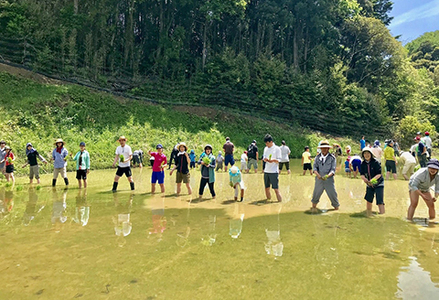 【先着20組限定】令和８年度 大山千枚田『棚田トラスト制度』参加権利　[0107-0001]