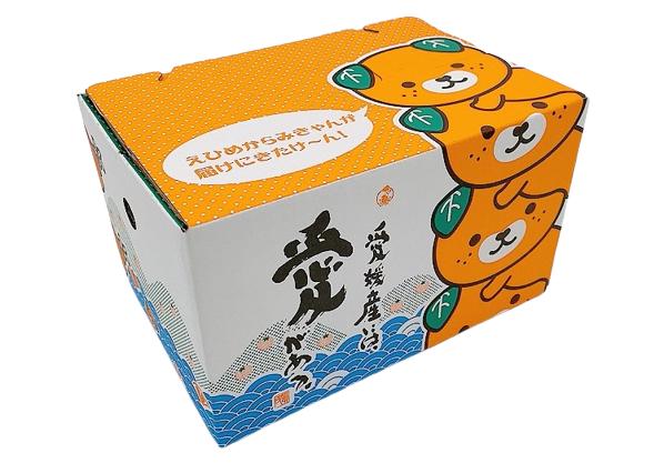 愛媛県の公式マスコットキャラの「みきゃん」パッケージの箱にお入れしてお届け