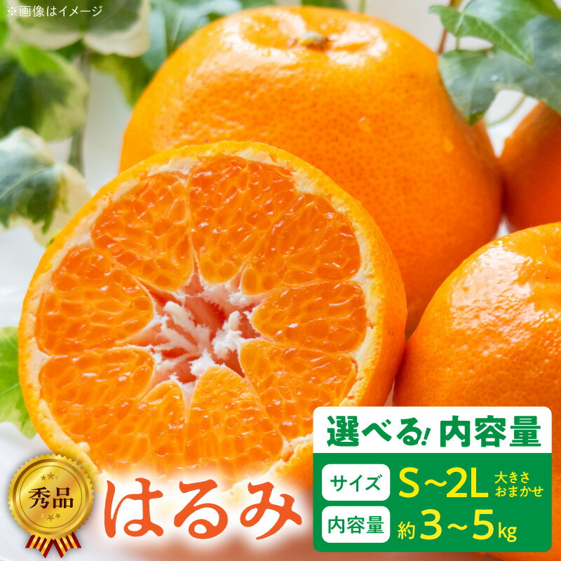 【ふるさと納税】【限定】 秀品 はるみ S 〜2L サイズ 選べる 内容量 約3kg 約5kg 大きさ おまかせ 有田産 味 深み 濃厚 果汁 国産 果物 フルーツ 果実 食品 おやつ デザート お取り寄せ お取り寄せフルーツ 和歌山県 湯浅町 送料無料