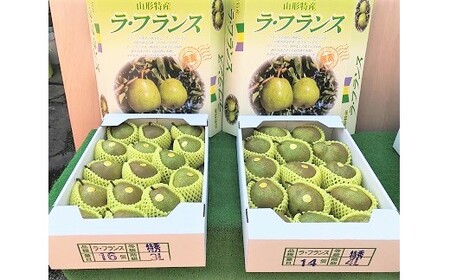 西洋梨（ラ・フランス）５ｋｇ　特秀品　0089-2504