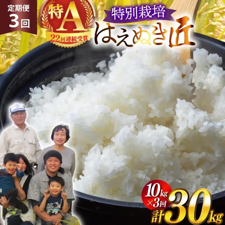 米 定期便 3回 令和8年産 厳選米 匠 特別栽培米 はえぬき 10kg 計30kg [金子農園 山形県 高畠町 tk06ays950052]