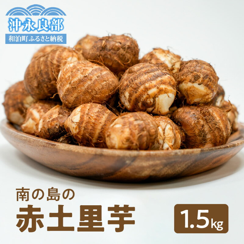 【ふるさと納税】 南の島の赤土里芋 1.5kg 約 40個 農家直送 栽培歴40年 5月上旬 ～ 6月下旬 さといも 里芋 野菜 芋 期間 数量 限定 もっちり まろやか 柔らかい 新鮮 人気 沖永良部 国産 川間農園 鹿児島 和泊町 おすすめ ランキング プレゼント ギフト