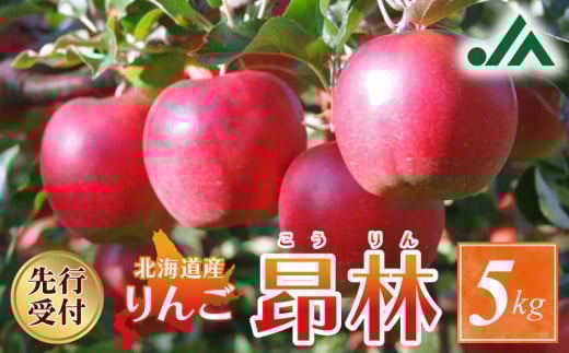 【先行受付：2026年10月中旬以降発送分】りんご（昂林）5kg