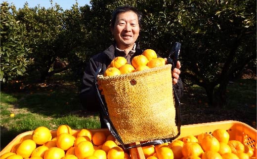 お日様の恵みと太平洋の潮風で育った室戸市吉良川のぽんかんでも特に斜面で育ったぽんかんは大変甘くジューシーですと生産者の小松さん。