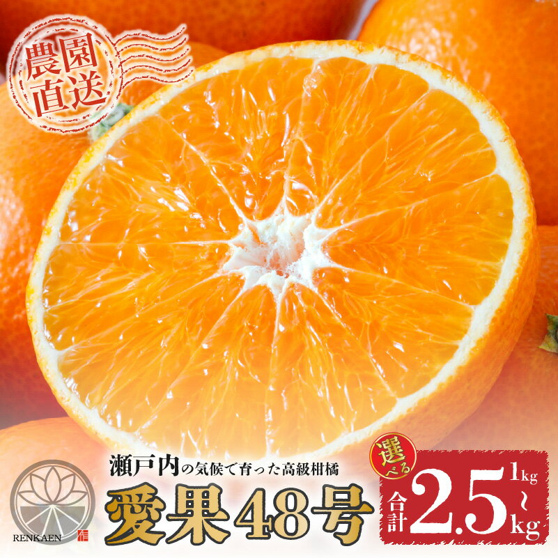 【ふるさと納税】 【先行予約 2026年3月上旬から発送】 愛果48号 家庭用 1kg/2.5kg | あいか48号 B品 大中小サイズ混合 ※ 紅プリンセス と同品種 みかん ミカン 蜜柑 果物 くだもの フルーツ 高級 贈答 ギフト 柑橘 柑橘類 かんきつ 愛媛果試第48号 国産 蓮果園 愛媛 松山