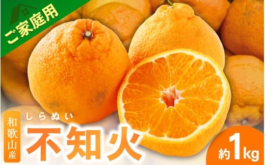 ＜3月下旬より発送＞【先行予約】家庭用不知火1kg+250g（傷み補償分）【デコポンと同品種・人気の春みかん】【わけあり・訳あり】/ フルーツ 果物 くだもの 柑橘 和歌山【ikd161C】