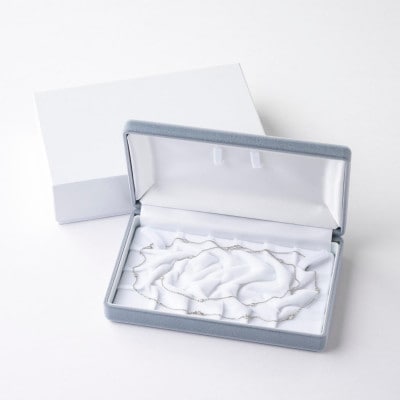 プラチナダイヤモンドステーションロングネックレス 16pcs Total 1ct 全長80cm【配送不可地域：沖縄県】【1469138】