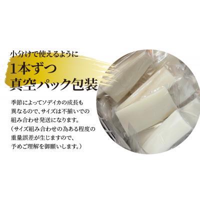 ふるさと納税 和泊町 【サイズ不揃い】ソデイカ・刺身用ブロック　1キロ/沖永良部島特産 |  | 01