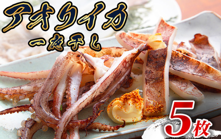 【伊豆漁協加工・直送！】アオリイカ 一夜干し 5枚　【 イカ 】