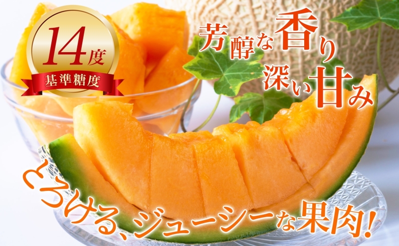 【2025年発送】びふかメロン1～2玉(合計3kg以上) 北海道 美深町産 赤肉 メロン 産直 高級 果肉 果汁 デザート フルーツ 果物 くだもの 贈り物 メロン赤肉 お届け： 2025年7月上旬～